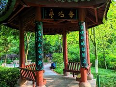 -龙头寺公园