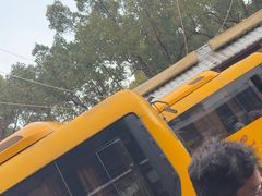 -普陀山风景名胜区-千步大沙