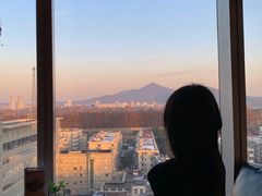 -金茂览秀城