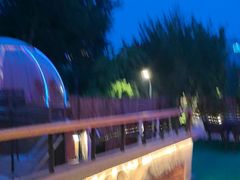 -羊门客在·烤盐池滩羊·川菜