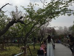-上海植物园-4号门售票处