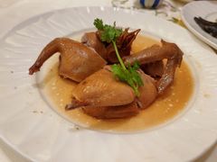 -沙龙酒家