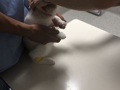 -谐和贝康宠物医院24小时·宠保定点(急重症转诊中心)