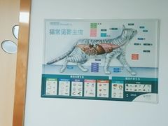-宠颐生宠物医院外科·内科·皮肤科·影像科(石龙店)