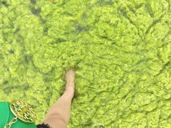 -仰口沙滩