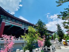 -厦门方特梦幻王国