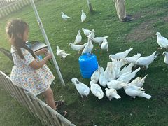 -瑶湖郊野森林公园