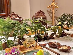 -叶叶菩提(太原别墅店)