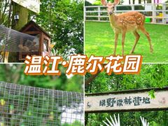 -老鼎万春卤菜(五代传承创始老店)