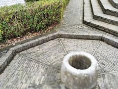 -上海佘山国家森林公园天马山园