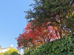 -上海市保健医疗中心