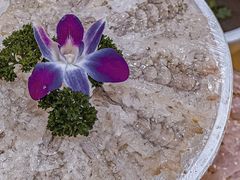 -官塘陈记鱼生·潮汕砂锅粥·牛肉火锅(潮枫路总店)