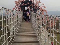 -天适樱花悠乐园