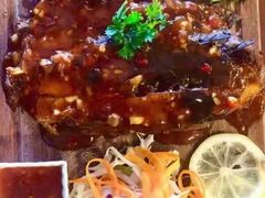 -茉莉.Red Crab