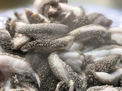 -同城四季爆肚涮羊肉(安华里店)