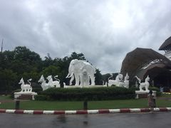 -清迈夜间动物园