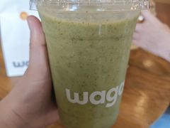 -Wagas沃歌斯(汇智店)