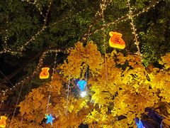 -横店影视城梦幻谷园区