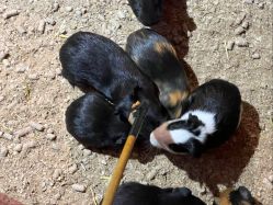 -Zoolung Zoolung动物主题公园(海信广场店)