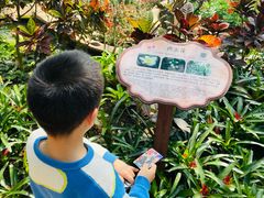 -南山植物园