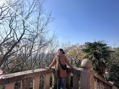 -上海佘山国家森林公园西佘山园