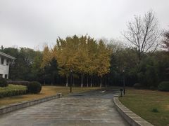 -春兰国宾馆(凤城河风景区老街店)