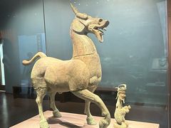 -广西壮族自治区博物馆