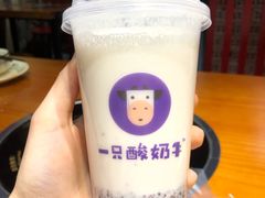 -一只酸奶牛(八一路店)