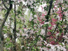 -元大都城垣遗址公园