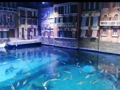 -华夏文旅海洋公园