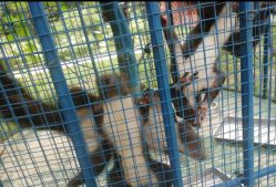 -萌宠亲子动物乐园(槐房万达店)