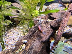 -上海海洋水族馆