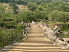 -金钉子远古世界景区