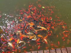-月牙潭公园