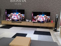 -Sony Store索尼(广州正佳店)