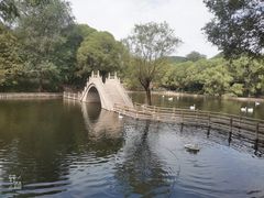 -石家庄市动物园