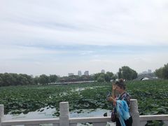 -长春市南湖公园