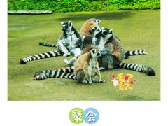 -上方山森林动物世界