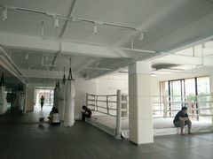-EFL巴西柔术·综合格斗·泰拳·少儿体能训练(虹桥德必馆)
