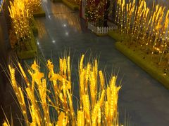 -巴黎春天(浦建店)