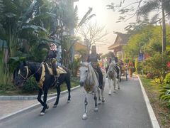 -灵玲国际马戏城