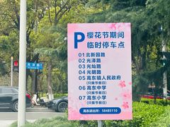 -高东镇樱花园