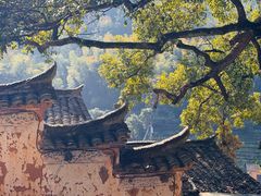 -杨家堂村