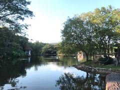 -清迈夜间动物园