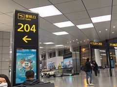 -郑州新郑国际机场-T2航站楼