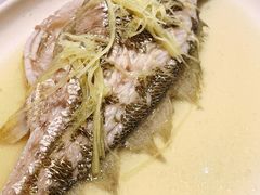 蒸黄花鱼-花城苑广府菜(侨鑫店)