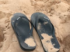 -金梦海湾浴场