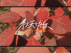 -北京十三陵国家森林公园蟒山景区