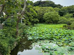 -鹤冈八幡宫