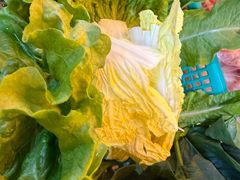 -清真·金鑫隆牛羊肉(环山路店)